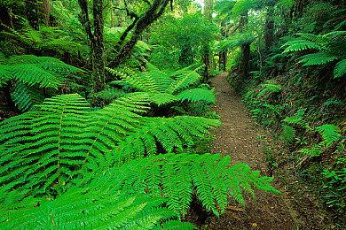 《幻梦骑士》登陆Steam发售 2D横版像素街机风动作